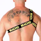 Macho Roman Harness Yellow L/XL — Photo 4
