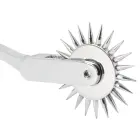 Single Pinwheel Silver Photo