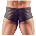 Vīriešu svītrainas bikses – S Foto 4