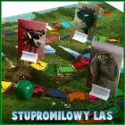 Stupromilowy Las Party Board Game – Humorous Absurd Challenge Edition — Photo 2
