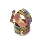 Ankle Cuffs Rainbow Photo