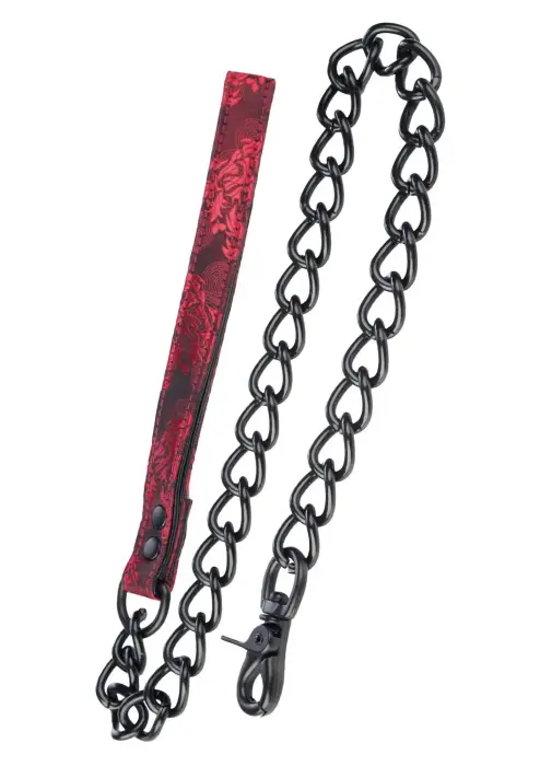 Scandal Collar with Leash – Black