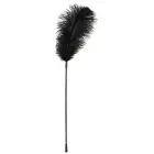 Black Feather Tickler — Photo 1