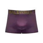 Male Power Enhancer Short – M – Eggplant — Photo 4