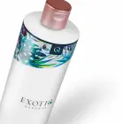 Exotiq Body To Body massaažiõli – 500 ml — Foto 2