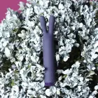 Компактный кролик-вибратор Je Joue Rabbit Bullet – 9.5 см (3.7″) — Фото 3
