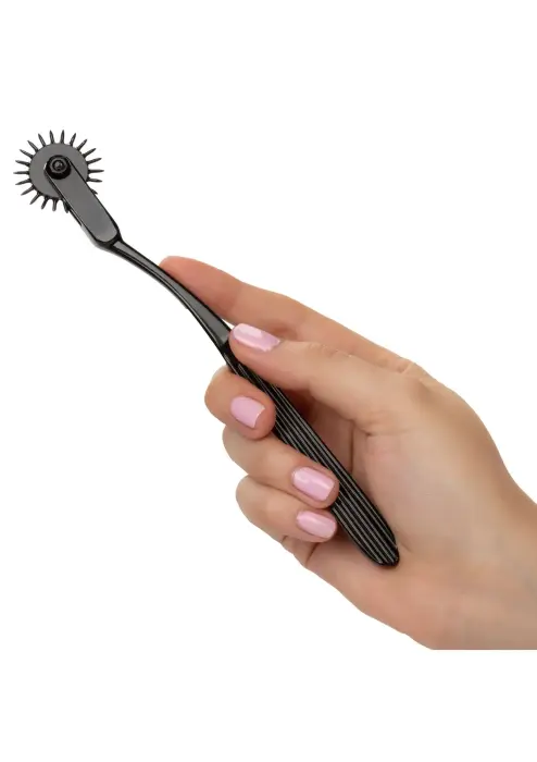 Boundless Pleasure Wheel Foto 6