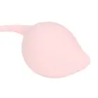 Loveline Pelvic Stem Kegel Kit Multicolor – Set of 5 Weighted Trainers — Photo 7