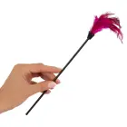 FFSLE Ultimate Bondage Kit Photo