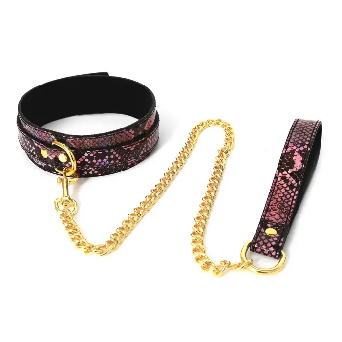 Gold/Pink Reptile Collar with Leash