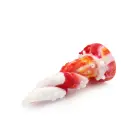 Kiotos Monstar Beast dildo – 18 cm (7″) – Daudzkrāsains Foto 4