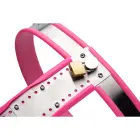 Stainless Steel Adjustable Female Chastity Belt – Pink — Photo 4