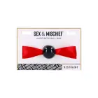 Sportsheets S&M Amor – атласный кляп с красной лентой – регулируемый — Фото 3