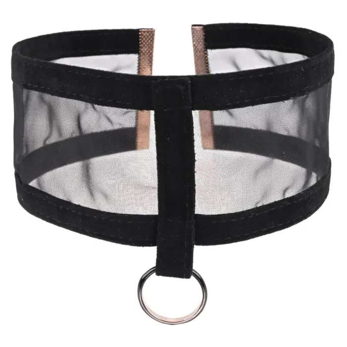 Sportsheets Sex & Mischief Sheer Day Collar, adjustable – black/gold