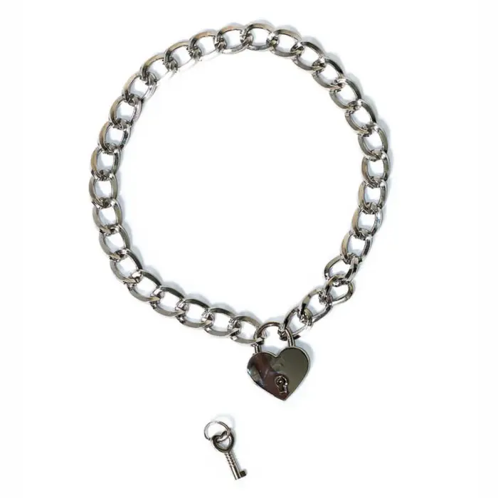 The Collar Party Hard Embrace Silver Collar