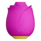 ROMP Rose gaisa pulsa klitora stimulators – rozā — Foto 17