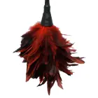 Fetish Fantasy Frisky Feather Tickler — Photo 2