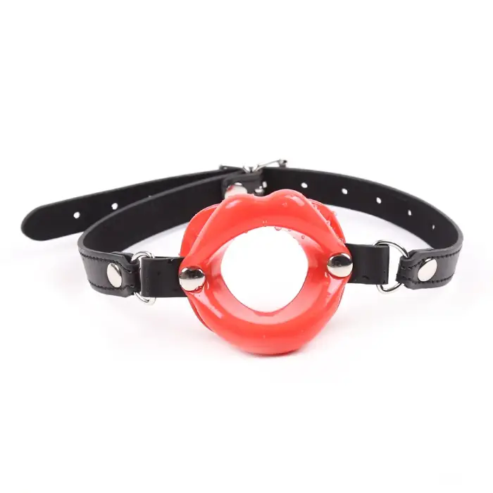 Red Panel Mouth Gag