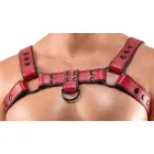 Svenjoyment Chest Harness – Red – S-XL — Photo 7