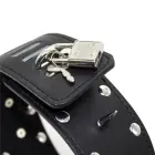 Leather Spiked Collar with Leash — Photo 3