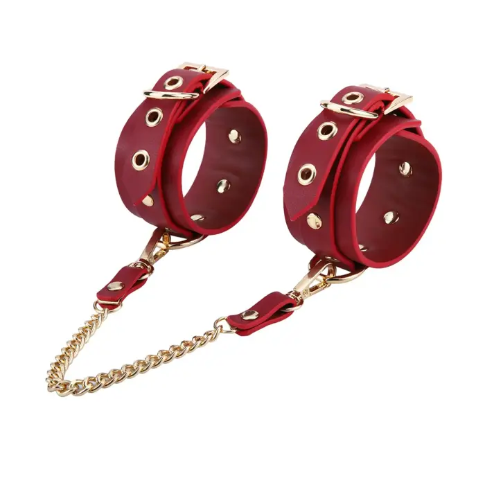 BDSM Deluxe 5 Item Kit - Red Фото num