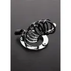 Spiked Chastity Cage — Photo 2