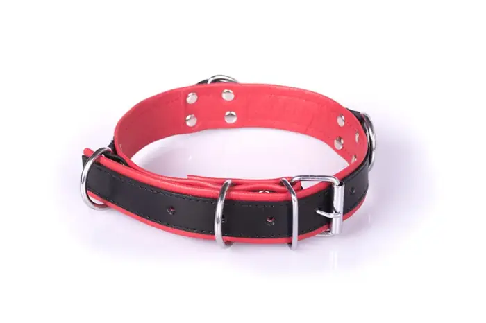 Deluxe Bondage Collar – Black & Red
