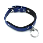 Black & Blue Leather Collar with Big O-Ring — Photo 1