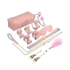 BDSM Bowties 10 Item Kit - Pink Фото num