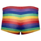 Svenjoyment Rainbow bokseršorti – L Foto 6