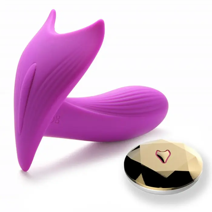 Panty Vibrator with Heating and Voice Control – USB Rechargeable