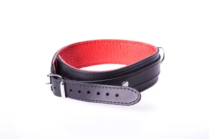 Kiotos Basic Leather Collar – Red