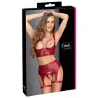 Cottelli Lingerie raudonas matinis liemenėlės ir kojinių diržo komplektas – 80B/M — Nuotrauka 1
