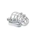 Cruve Torture Chastity Device — Photo 1