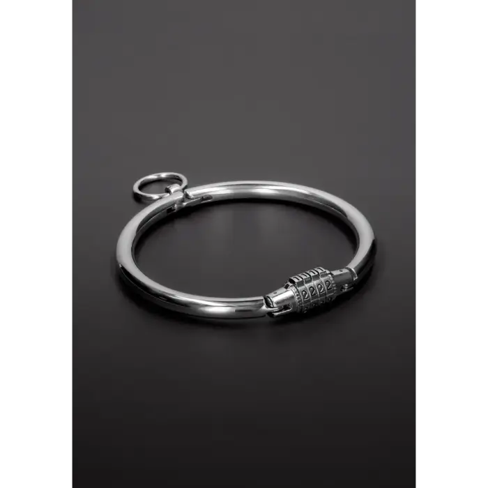 Stainless Steel Collar with Combination Lock – Medium