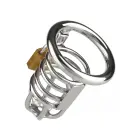 Master Chastity Cock Cage — Photo 4