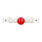 Bedroom Fantasy - 8 Piece Nurse Costume Set – White Photo