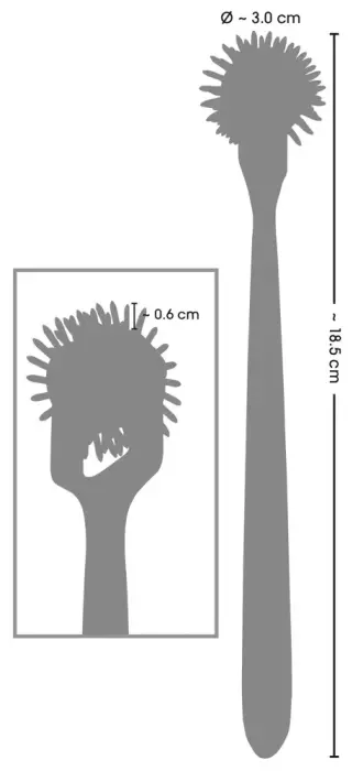 Rainbow Triple Pinwheel Foto 9