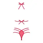 Obsessive Giftella pesukomplekt – L/XL — Foto 7