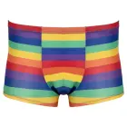 Svenjoyment Rainbow bokseršorti – L Foto 5