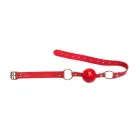 Ball Gag Party Hard Firecracker Foto 2