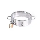 Kiotos Stainless Steel D-Ring Collar — Photo 3