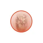 ANGELINA 3D piepūšamā mīlas lelle – vibrējoša Foto 4