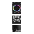 PDX Elite Viewtube Pro masturbators – caurspīdīgs — Foto 4