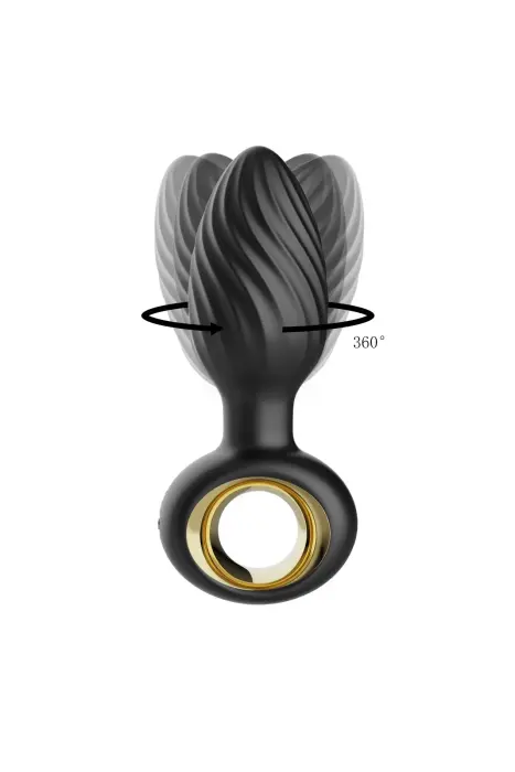 Aisi besisukantis analinis kištukas Photo