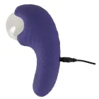 beau coeur Zanto Plasma Vibrators – 13.3 cm (5.2″) – caurspīdīgs Foto 11