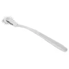 Single Pinwheel Silver Photo