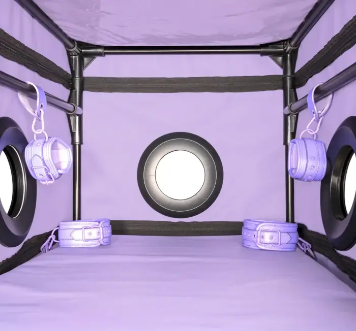 Secret Dome La Niche BDSM rotaļu kaste – violeta Foto 5