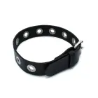 Black Leather Slim Collar with Multi-Metal Eyelets — Photo 5