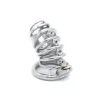 Modern Torture Chastity Device — Photo 5